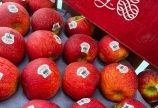 Yummy Fruits thương hiệu trái cây Nhập Khẩu giá tốt nhất hiện nay