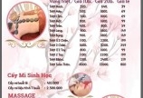 Ngọc Mai Sakura Beauty & Spa TUYỂN DỤNG