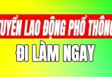 Cty Trấn Vinh tuyển nam LĐPT làm tại Bình Tân ca 12 tiếng 