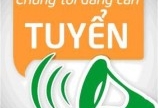 Tuyển Quản Lý QC chuyên ngành gỗ làm việc tại KCN Sóng Thần 2 - Bình Dương