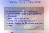 TUYỂN 03 CN CHĂN NUÔI 7-9TR +THƯỞNG ĐẾN 16TR + BAO ĂN Ở