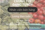 Cửa hàng rau sạch Khang Thịnh cần tuyển nhân viên bán hàng