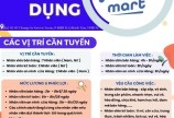 Siêu thị FD MART tuyển NV bán hàng, kế toán, bảo vệ làm ở Bình Tân