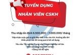 Tuyển Nhân Viên Chăm Sóc Khách Hàng-Vnpt