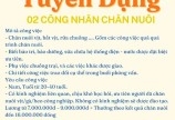 TUYỂN 02 CÔNG NHÂN CHĂN NUÔI