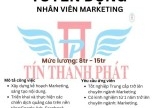 Tuyển Nhân Viên Marketing